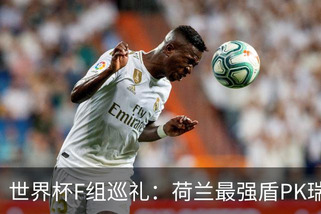 世界杯F组巡礼：荷兰最强盾PK瑞典犀利刀 日本短板明显