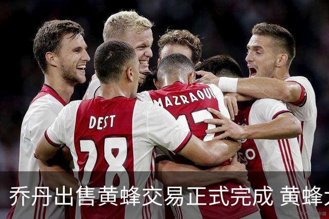 乔丹出售黄蜂交易正式完成 黄蜂大老板易主