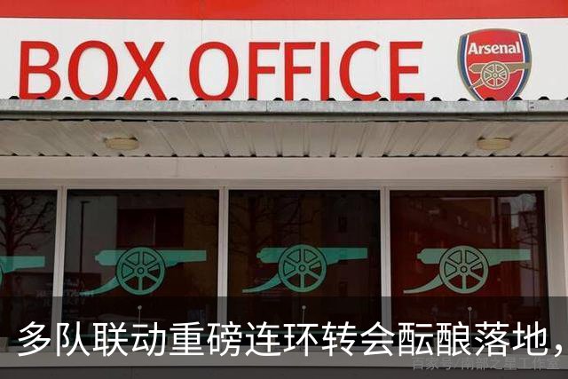 多队联动重磅连环转会酝酿落地，交易连锁反应或将提速胡利安・阿尔瓦雷斯转会阿森纳