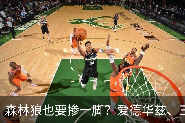 森林狼也要掺一脚？爱德华兹、三球联手招募，詹姆斯去向即将揭晓
