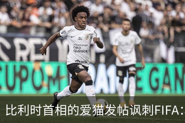 比利时首相的爱猫发帖讽刺FIFA：“红牌？”我照样继续踢！