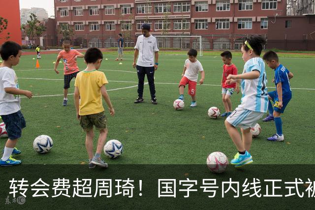 转会费超周琦！国字号内线正式被摆上货架，CBA争冠格局骤变